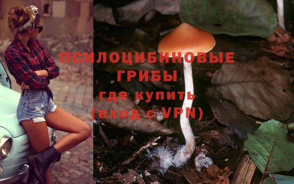 гашик Арсеньев