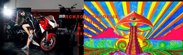 2c-b Аркадак